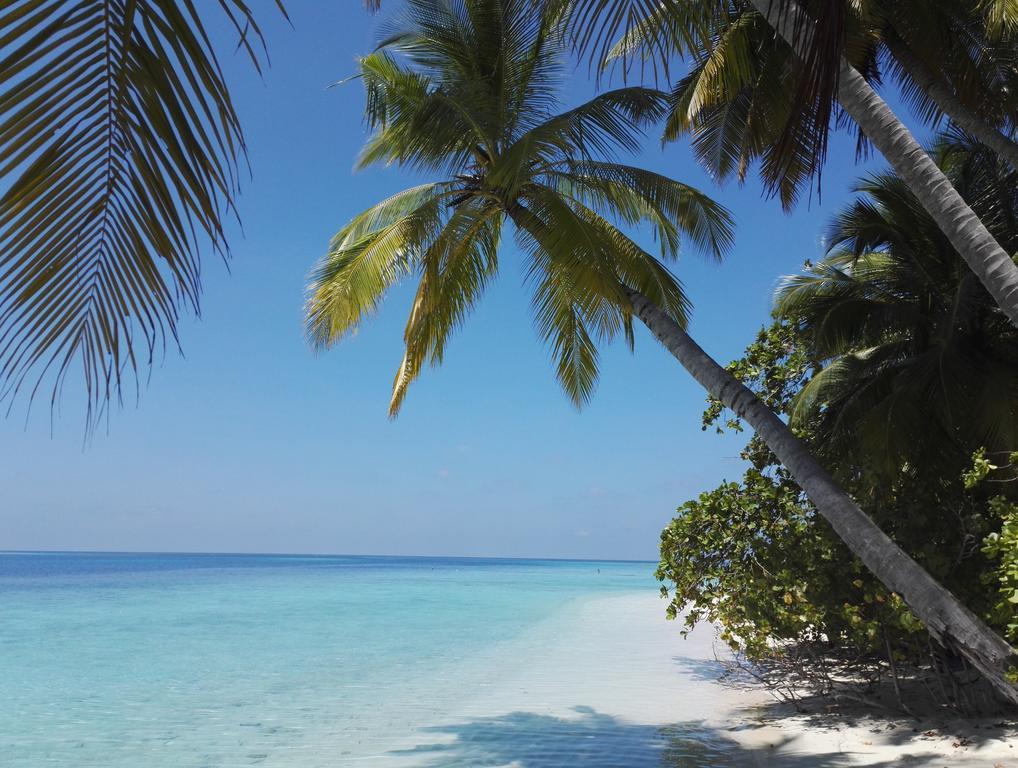 Maison d'hôtes Masfalhi View Felidhoo