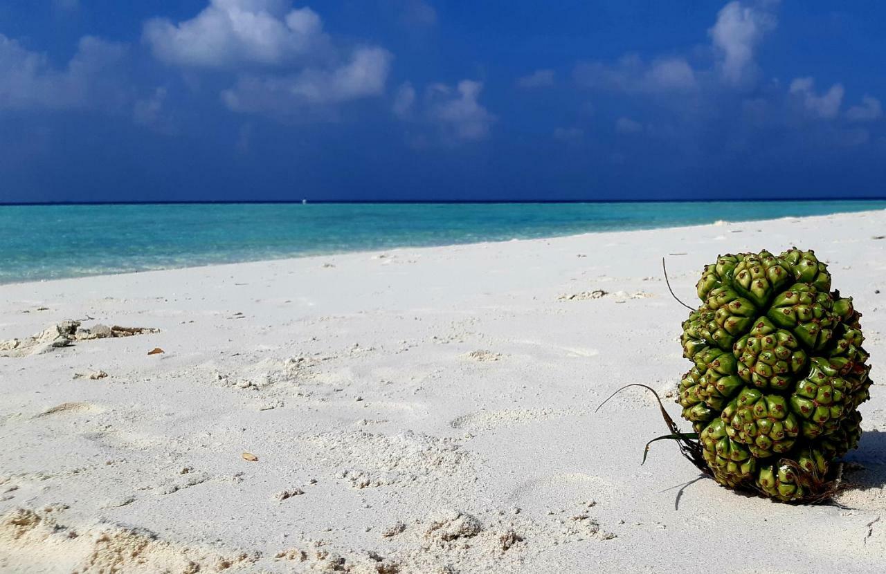 Masfalhi View Felidhoo
